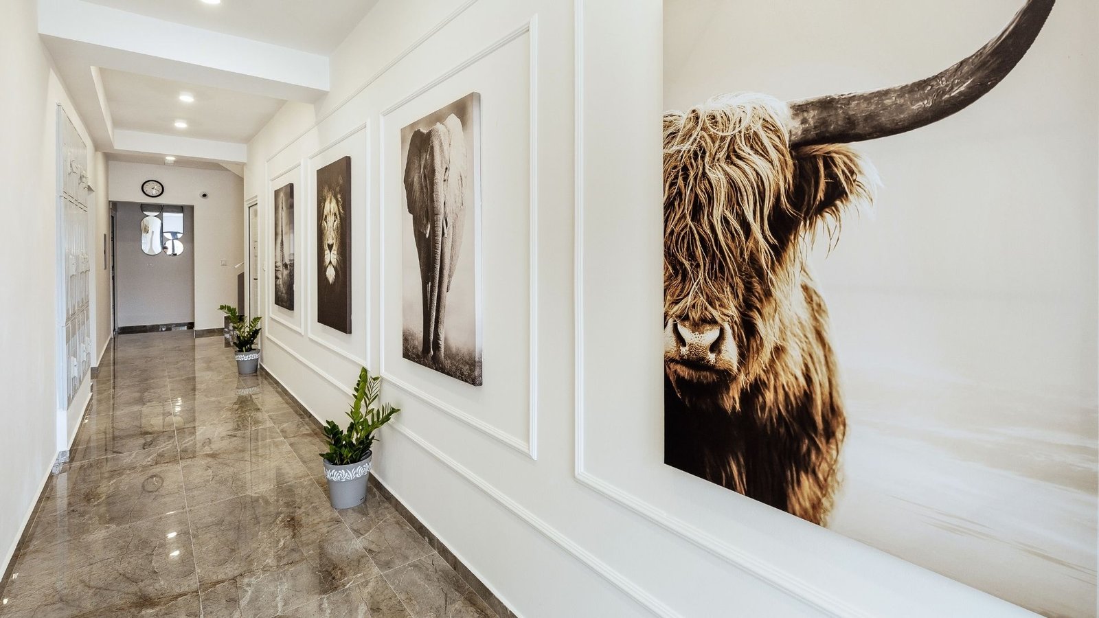 one-bedroom-ivo-apartments-herceg-novi (3)